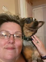 Wishing a very happy 13th Birthday to my Tiny Emperor, best mate and road  trip companion, Buster. What a fast 10yrs its been since you came