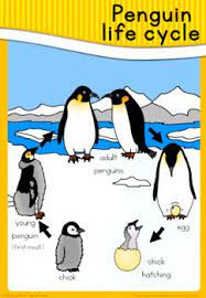 The ruler of an empire. Pin On Penguin Life Cycle
