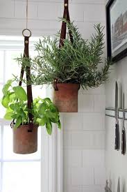 Your indoor garden can be more than just a place to grow perennial herbs. Hanging Herbs In The Kitchen Hanging Plants Indoor Hanging Plants Hanging Planters Indoor