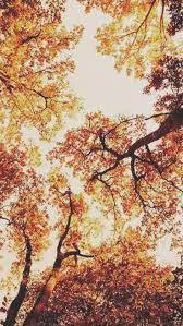 Image Result For Autumn Wallpaper Tumblr Fall Wallpaper Fall Wallpaper Tumblr Tumblr Wallpaper