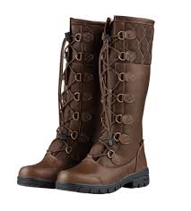 Image result for Brown 2023 Fleet