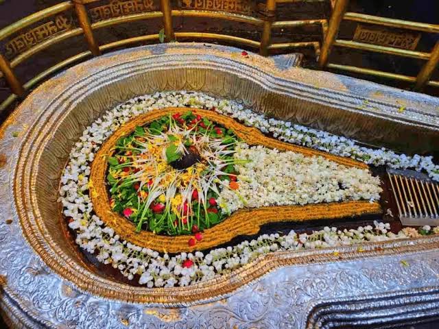 Gallery - Jyotirlinga Bhimashankar