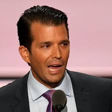 Fauci elicits a series of stinging reminders. Donald Trump Jr Boarding School Made Me A Regular Guy