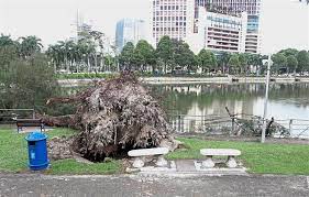 Petaling jaya dibuka sebagai kota pada tahun 1952 dan didesain sebagai kota satelit bagi ibu kota malaysia, kuala lumpur. Storm Wreaks Havoc In Taman Jaya Pj The Star