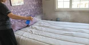 If you are a business client, please give us a call on 020 3404 6650 to get your special plan. Bed Bug Extermination Cost What Do You Need To Know Pestkilled