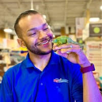 30+ "Ortiz Quiles" profiles