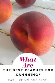 It's hard to beat a fresh juicy peach! Best Peaches For Canning Eat Like No One Else
