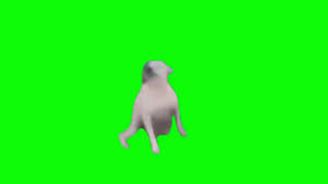Dog Dancing Green Screen Meme Template Youtube