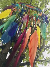 Traumfanger Baum Garten Baume Garten Garten Traumfanger Baum