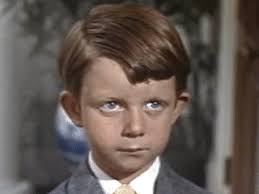 Matthew Garber Matthew Garber Mary Poppins Movie Michael Banks