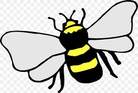 3200 x 2400 jpeg 691 кб. Bumblebee Drawing Honey Bee Clip Art Png 1280x867px Bee Art Arthropod Artwork Beehive Download Free