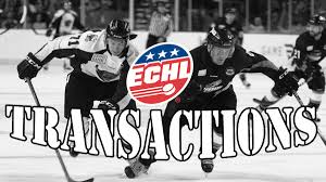 Official Site of The ECHL