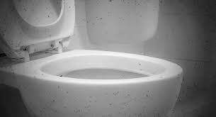 Unless you lift the lid and peer inside, you won't see the rust rings, scale and bacterial growth that affect every tank, given enough time. Toilet Flush Plume Of Doom Biocote