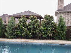 More vehicles can mean increased air pollution, making air quality actions important to ensure that environmental health is not negatively impacted by transportation. 39 Best Plants For Privacy Ideas Shrubs Cool Plants Privacy Landscaping
