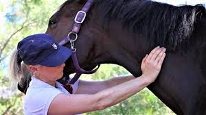 Dr Raquel Butler Series