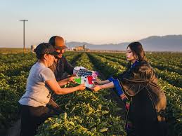 These are jennifer rochas graduation pictures taken in the very fields that she worked in throughout. College Grad Honored Her Migrant Parents With Photos On The Fields They Worked Npr