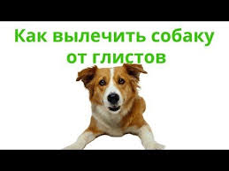 pin na doske youtube