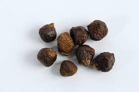 Image result for Aframomum mala