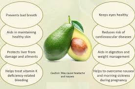 Health Benefits Of Avocado