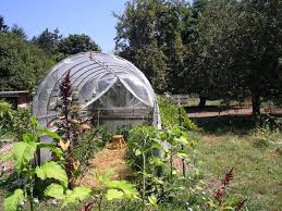 Greenhouses provide an ideal environment for efficient growing, longer growing seasons, and more. 10 Benefits Of Having A Greenhouse