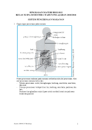 We did not find results for: Pdf Ringkasan Materi Biologi Kelas Xi Ipa Semester 2 Tahun Pelajaran 2010 2011 Sistem Pencernaan Makanan Satria Arif Academia Edu