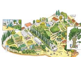 Du 1er mai au 25 octobre. Le Petit Guide De Montpellier Parcs Montpellier Plante Jardin