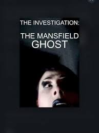 In GB2 whilst 'slimming up' the statue of liberty, Ray can be seen with  cigar in mouth smiling saying "beautiful" Is this a reference to hannible  smith in the A-team??