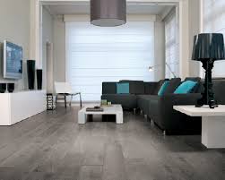 Pin By Love Life Like Lindsay On House Ideas Grey Laminate Flooring Modern Grey Living Room Rustic Wood Floors