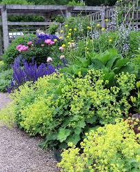 Check spelling or type a new query. The Double Border June 15 Plants Garden Inspiration Shade Plants