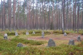Zdjęcia: Grzybniczka, zachodniopomorskie, Krąg nr III w rezerwacie Kamienne  Kręgi w Grzybnicy, POLSKA