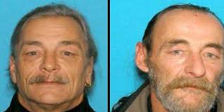 Video: Falmouth brothers arrested in alleged abduction attempt