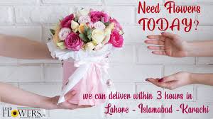 Maybe you would like to learn more about one of these? Send Flowers To Pakistan From Usa Same Day Flower Delivery From Usa
