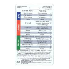 Glasgow Coma Scale Badge Card Vertical Accessory For Nurse Etsy In 2020 Pediatrics Online Nursing Schools Top Nursing Schools