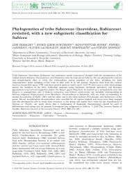 Image result for Sabicea bequaertii