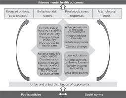 The Social Determinants Of Mental Health Psychiatrists Roles In Addressing Discrimination And Food Insecurity Focus