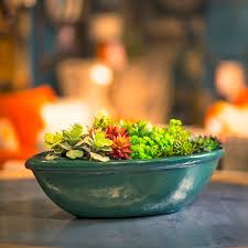 Typically, a planter is larger than a plant pot as it is made to house multiple plants that can grow together or larger plants. Boat Pots