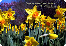Image result for daffodil