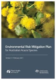 Image result for Acacia pilispina