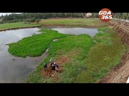Logout id an integral part of any secure application. Locals Clean Verna S Ambula Lake Udear Spring
