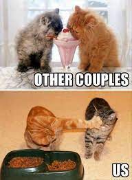 Funny Animal Picture Dump Of The Day 25 Pics Funny Animal Photos Cute Animal Memes Funny Animal Memes