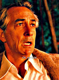 We Are Marshall Fountain