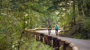 Our san juan islands kayaking trips in the killer whale waters from friday harbor, washington were selected as a top 20 american adventure. San Juan Island Cycling And Camping Rei Adventures