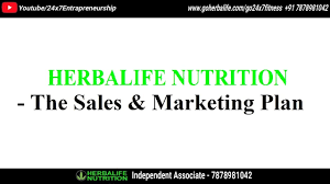 Herbalife Sales Marketing Plan In Hindi