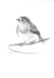 Bird Robin Original Charcoal Drawing Hand Drawn Illustration Animal Nursery Black And White Small Art Decor A Animal Illustration Bird Drawings Animal Drawings