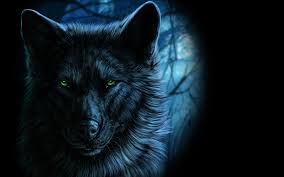 Browse for ultra 4k desktop wallpapers that you may download for free & use on all. 4k Wallpaper Wolf Posted By Michelle Sellers