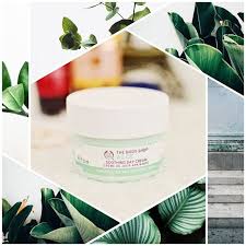 The Body Shop Aloe Soothing Eye Lip Contour Care Jizza Dimayuga The Body Shop Aloe Soothing Day Cream