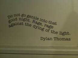Dylan Thomas Poem Do Not Go Gentle Into That Good Night Do Not Go Gentle Into That Good Night A Dylan Thomas Poem Woven Beautifully Into The Matched Trilogy Good Night Quotes Some Good Quotes Best Poems