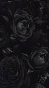 Black Rose Art Art Black Rose In 2020 Black Roses Wallpaper Cool Black Wallpaper Black Rose