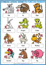 chinese zodiac signs esl vocabulary worksheets
