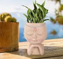 Gezicht Bloempot - Creatieve Hoofd Bloembak, Hars Cactus ...